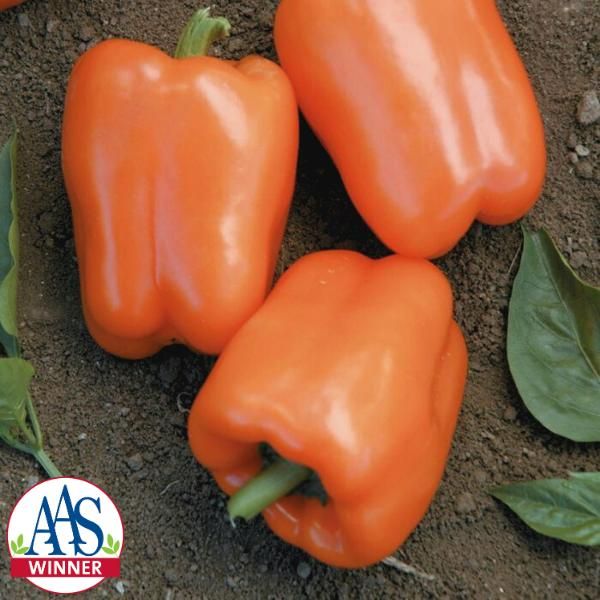 Orange outlet bell pepper