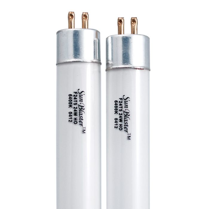 T5 store light bulbs