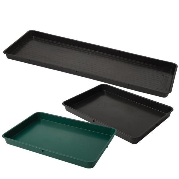 Tray s new arrivals