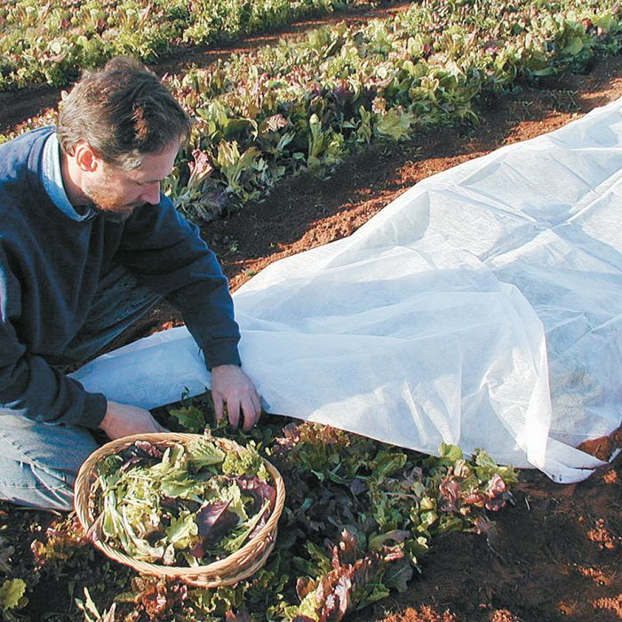 Floating Row Covers Veseys