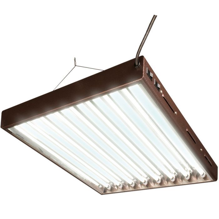 Commercial T5 Light Fixtures