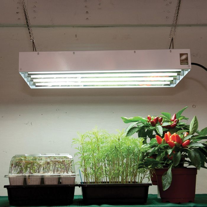 T5 grow lights 2025 canada