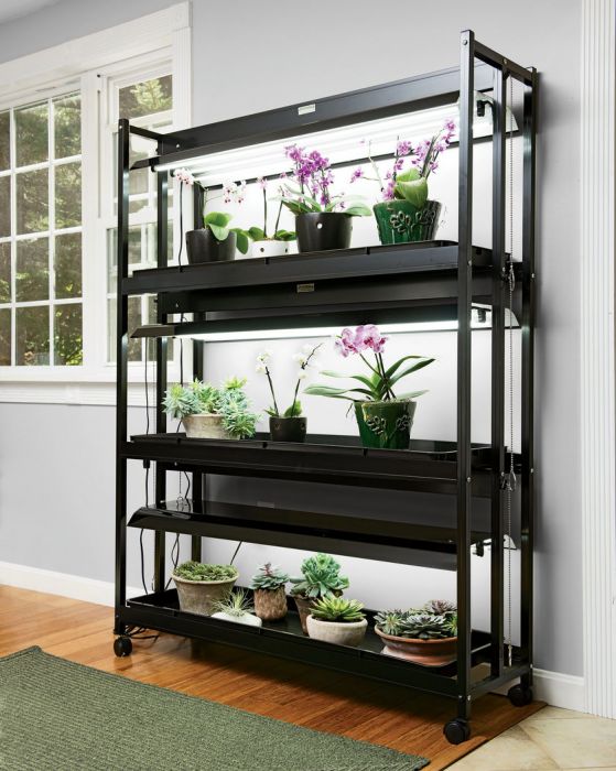 3-Tier Sunlite Garden