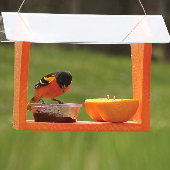Oriole feeder clearance