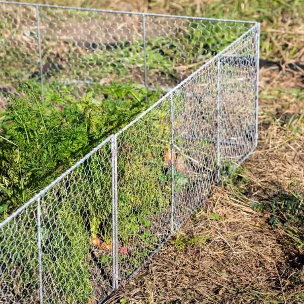 Chicken Wire Critter Fence - Tools & Accessories