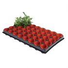 Professional Seed & Cutting Tray with Pots