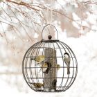 Mixed Seed Globe Feeder