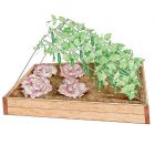 Wire Cucumber Trellis