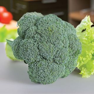 Imperial Broccoli Thumbnail