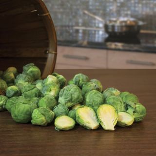 Marte Brussels Sprouts Thumbnail