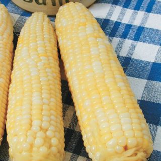 Luscious Corn Thumbnail