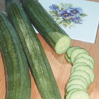 Carmen Cucumber Thumbnail