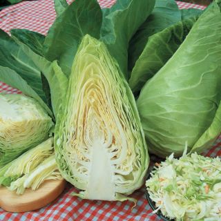 Caraflex Cabbage Thumbnail