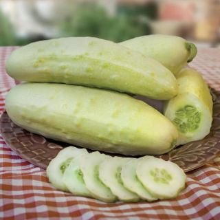 Martini Cucumber Thumbnail