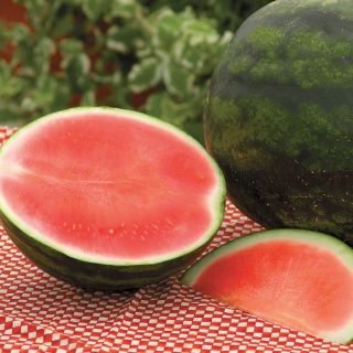 Ruby Watermelon Thumbnail