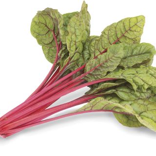 Intense Swiss Chard Thumbnail