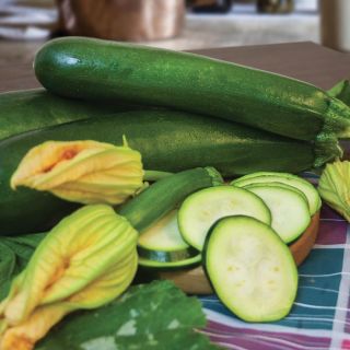 Noche Summer Squash Thumbnail