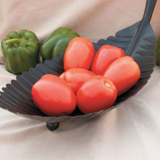 Plum Regal Tomato Thumbnail