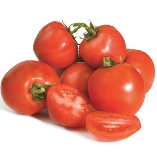 Stellar Tomato Thumbnail
