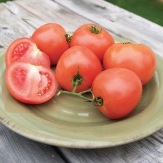 Tasti-Lee Tomato Thumbnail