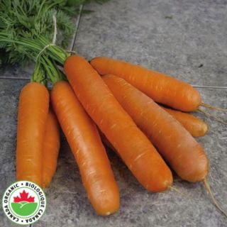 Miami Organic Carrot Thumbnail