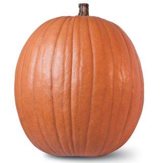 Howden Pumpkin Thumbnail