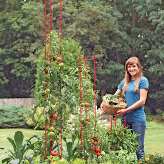 Stackable Tomato Ladders Thumbnail