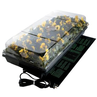 Germination Station with Heat Mat Thumbnail