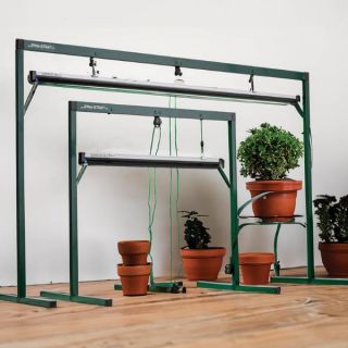 Jump Start Light Garden Thumbnail