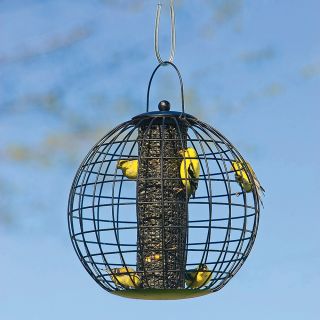 An Original Globe Feeder Thumbnail
