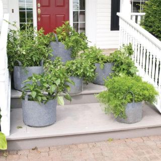 Grow Bags Thumbnail