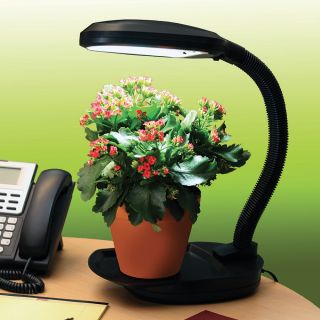 Agrobrite Desktop LED Plant Light Thumbnail
