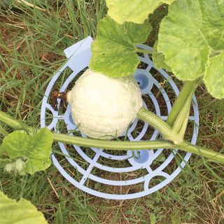 Melon and Squash Cradle Thumbnail