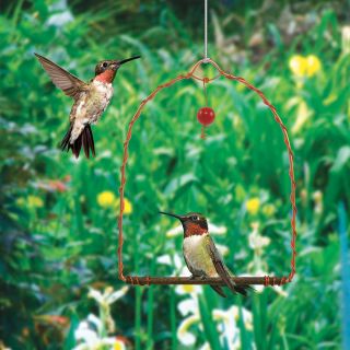 Copper Hummingbird Swing Thumbnail