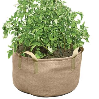 Jumbo Potato Grow Bag Thumbnail