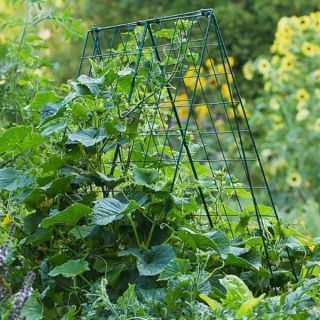 Deluxe Wire Cucumber Trellis Green Thumbnail
