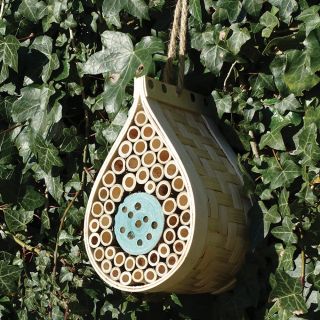 Dew Drop Bug & Bee Hotel Thumbnail