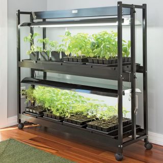 Deluxe 2 Tier LED SunLite Garden Thumbnail