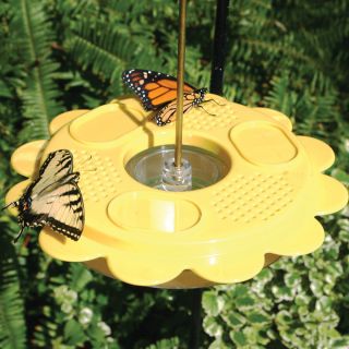 Flutterby Butterfly Feeder Thumbnail