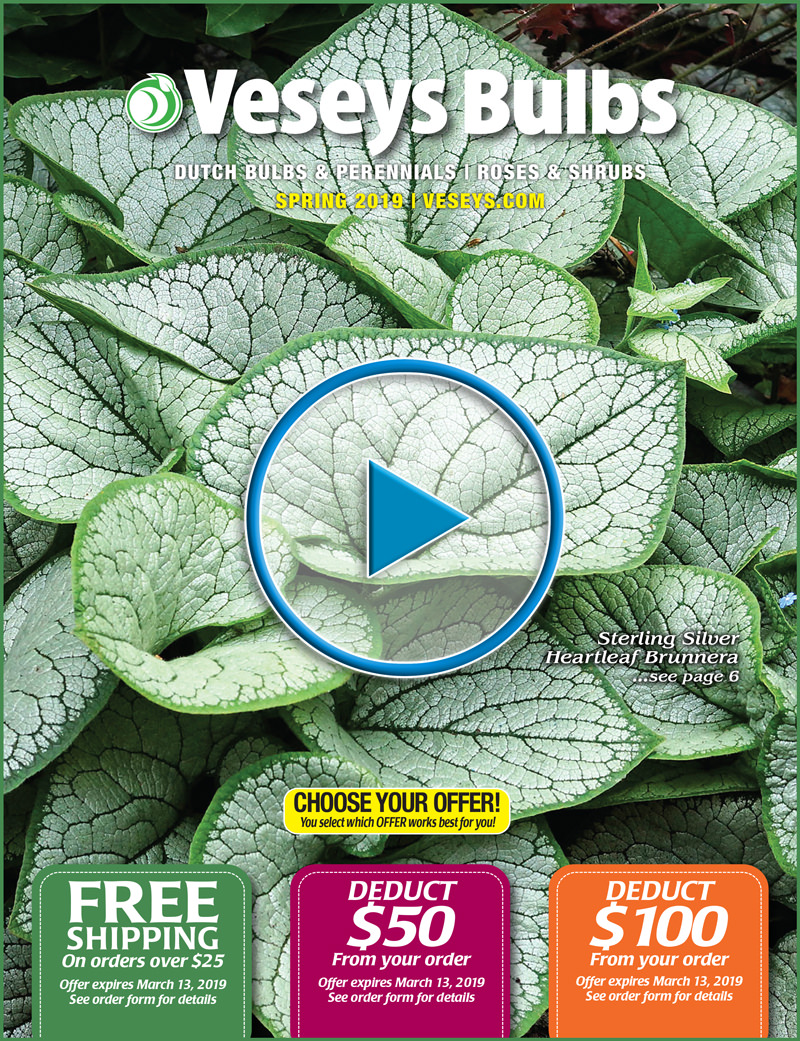 Request a Free Catalogue Veseys