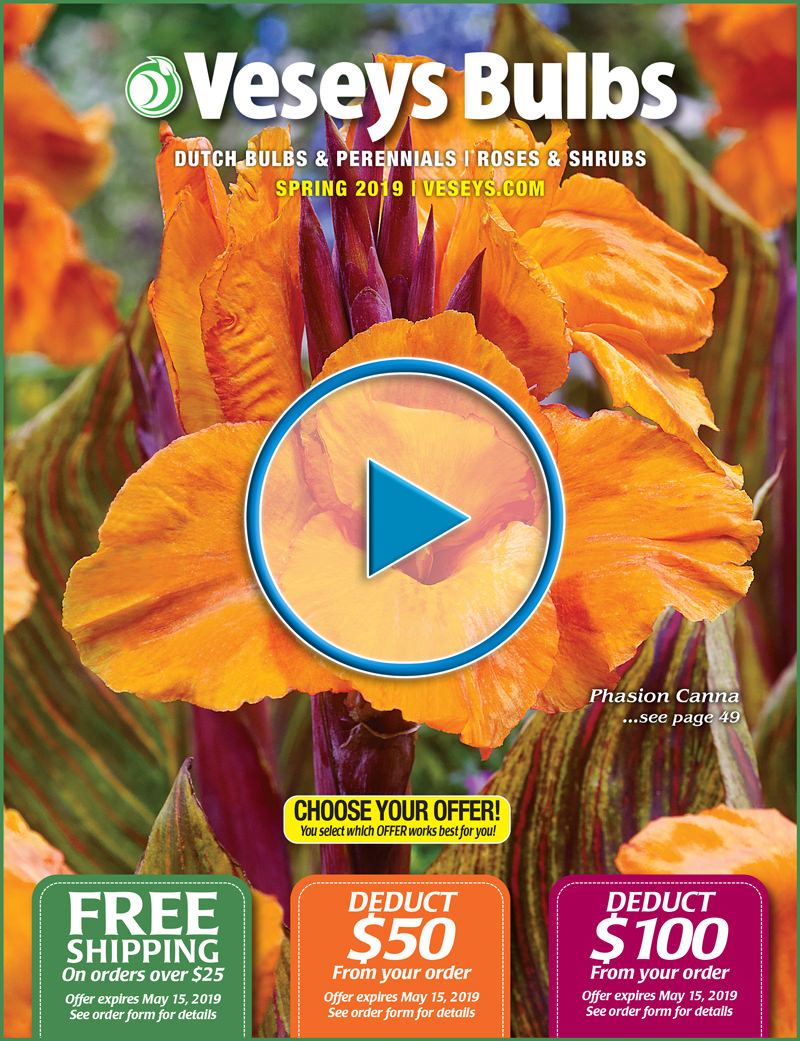 Request a Free Catalogue Veseys