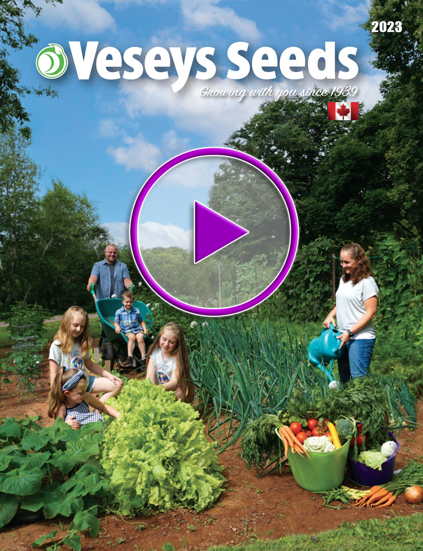  2023 Seed Catalogue