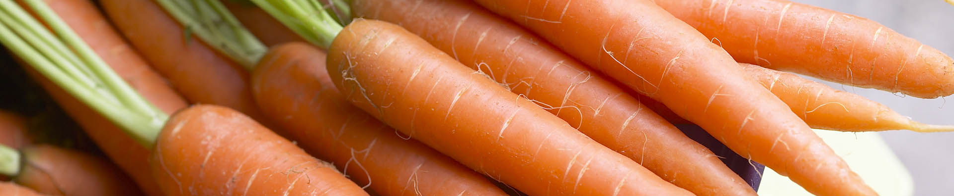 USA vegetables