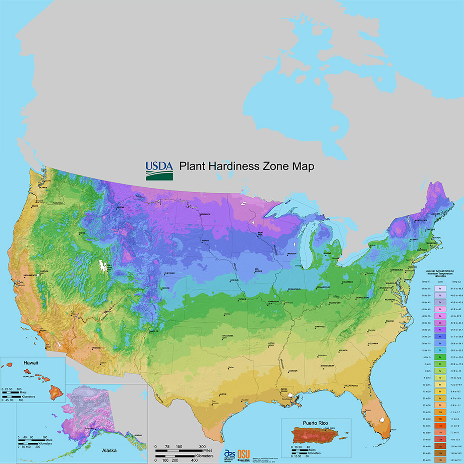 Image of US showing the various hardiness zones