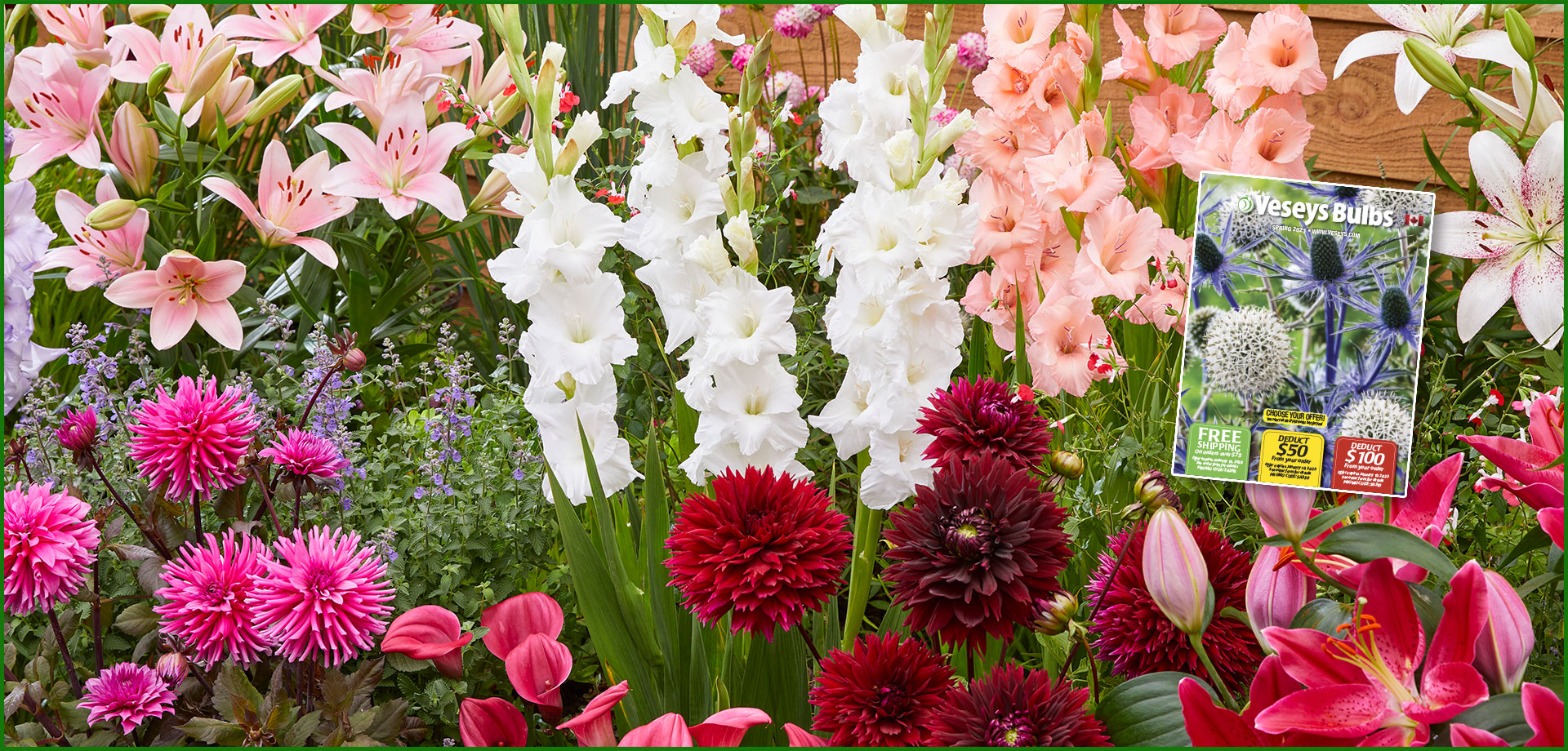 2023 spring bulb