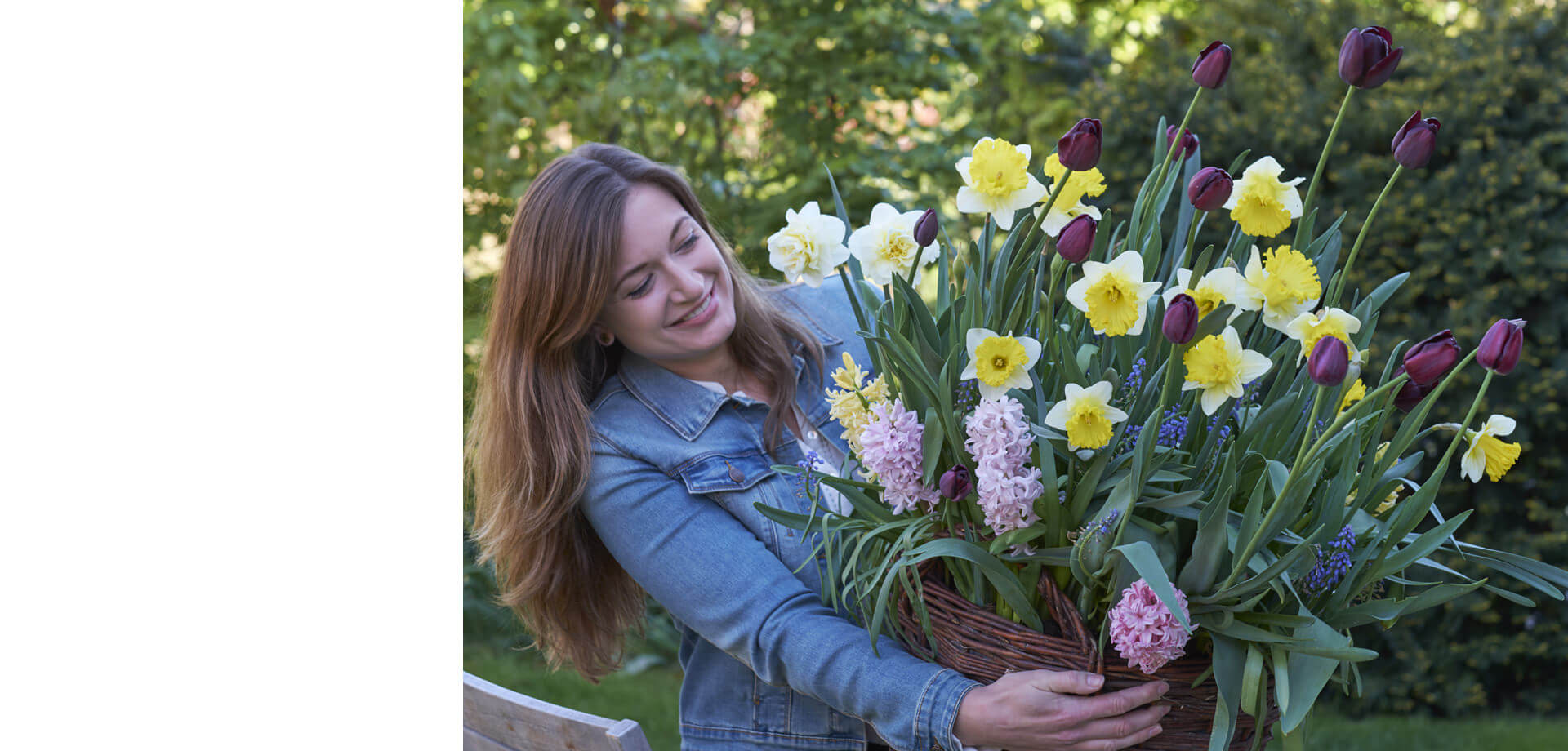 Fall Bulbs now available