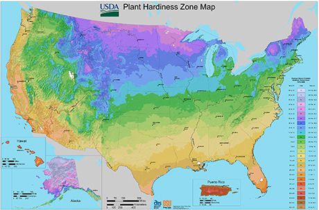 USDA Plant Hardiness Zone Map