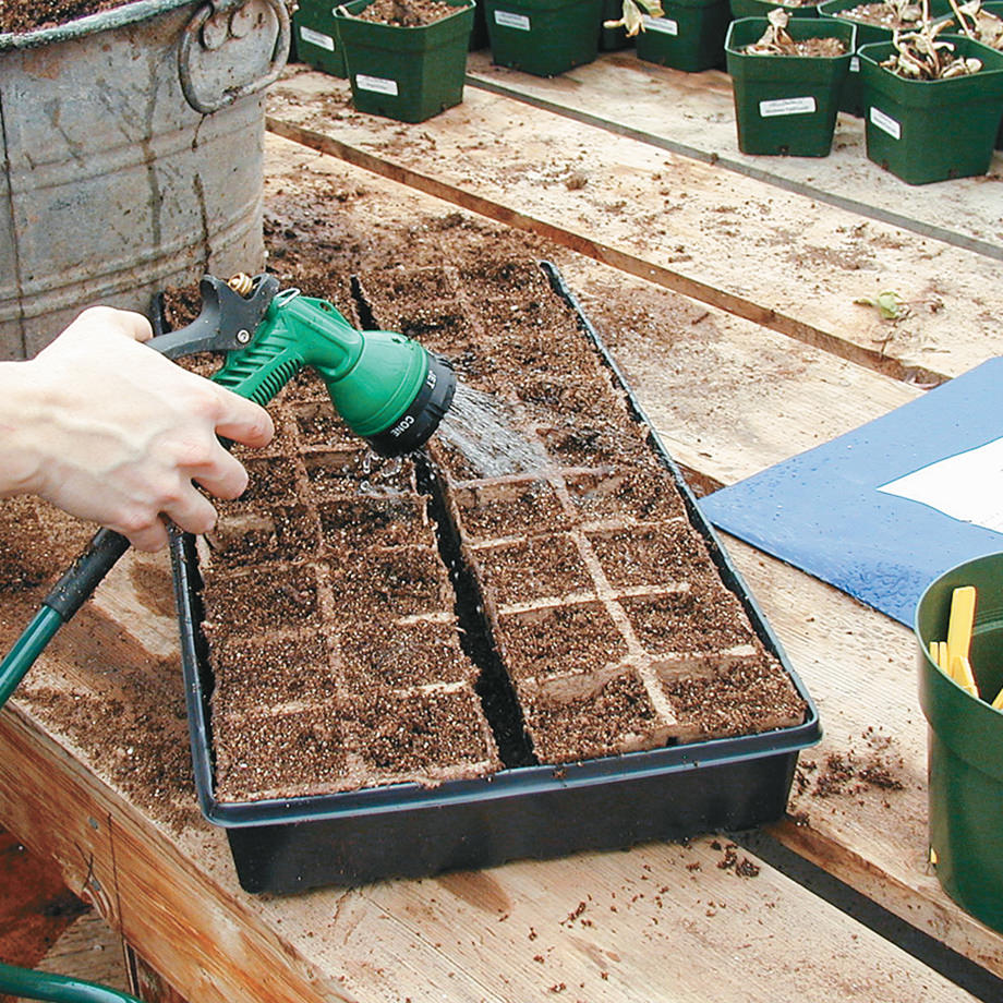 Watering tray